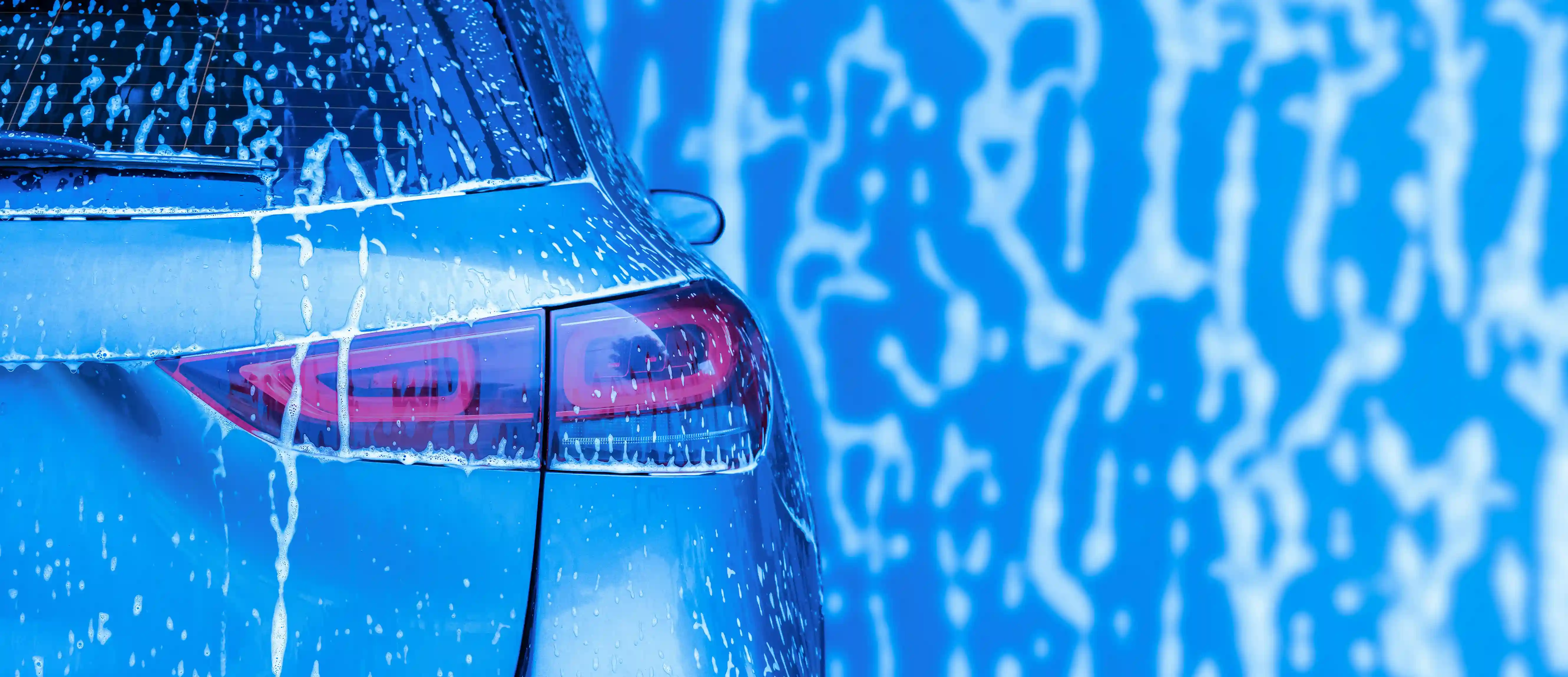 Throw Ballss Training